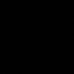 Meet your Posher, Katelyn